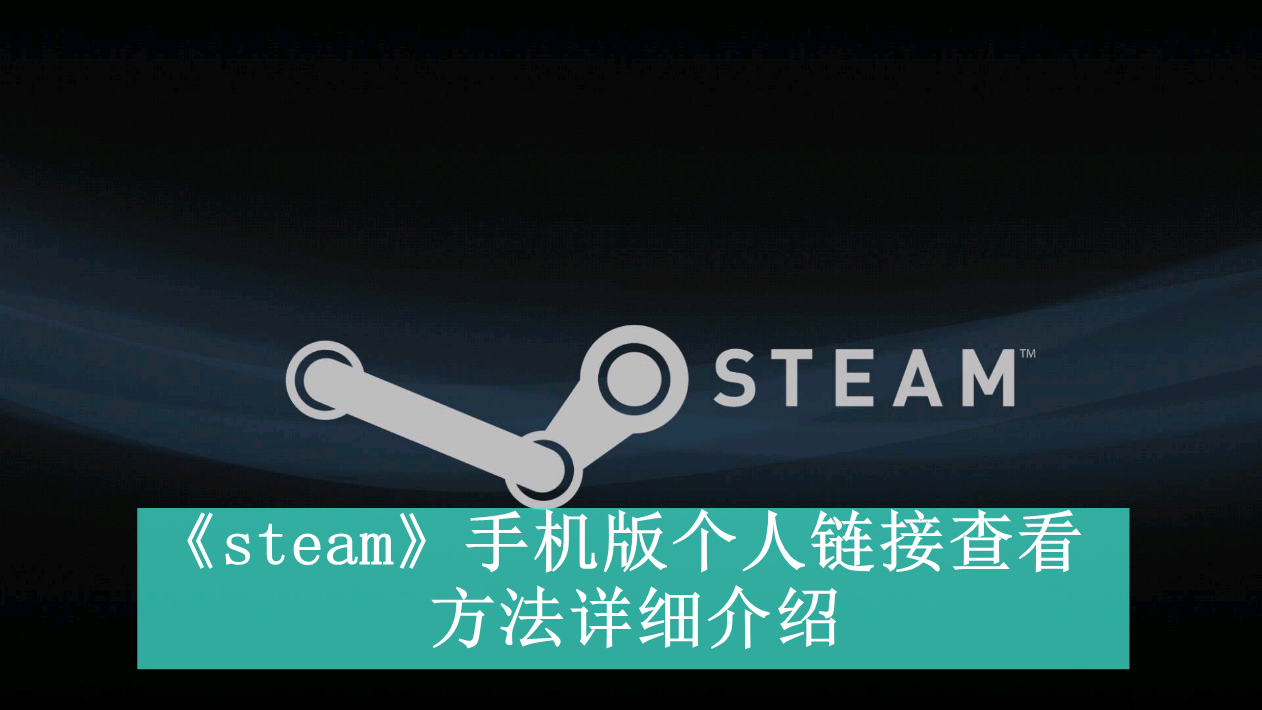 《steam》手机版新用户常见使用问题解决教程汇总【图文】