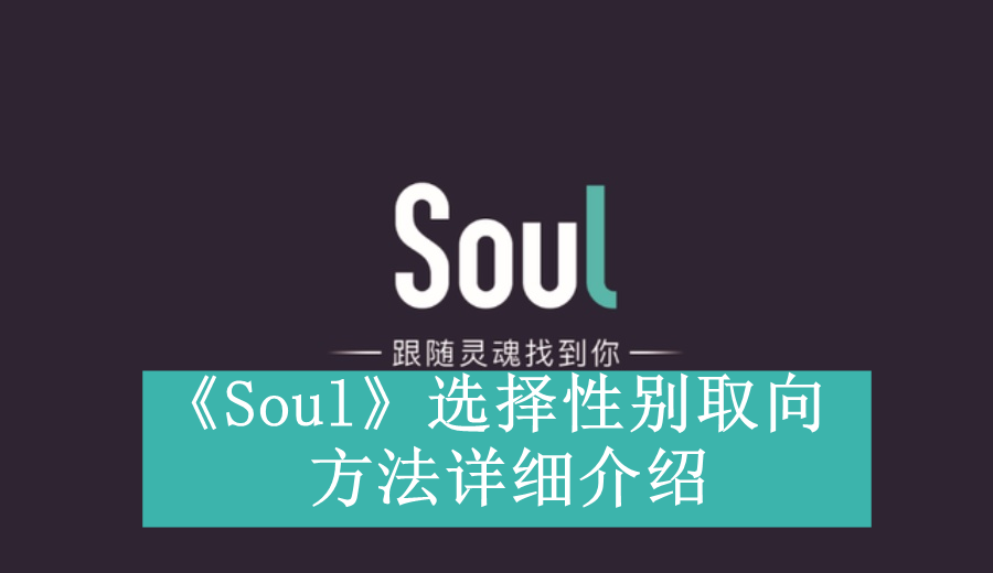 《Soul》选择性别取向方法详细介绍