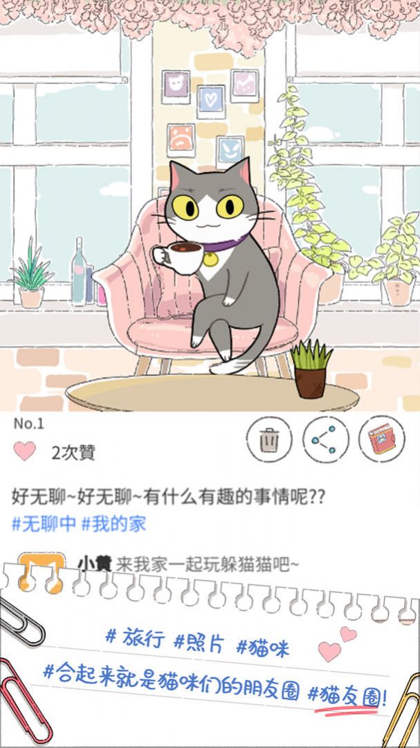 猫友圈：猫咪的旅行