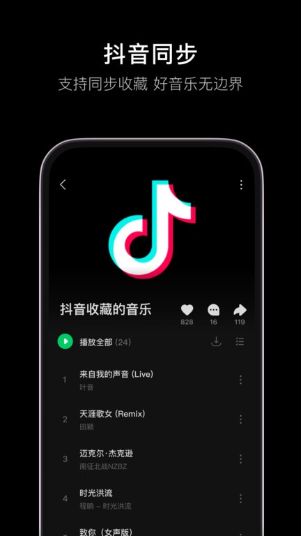 汽水音乐车机版截图