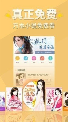 饭团小说全新未下架版截图