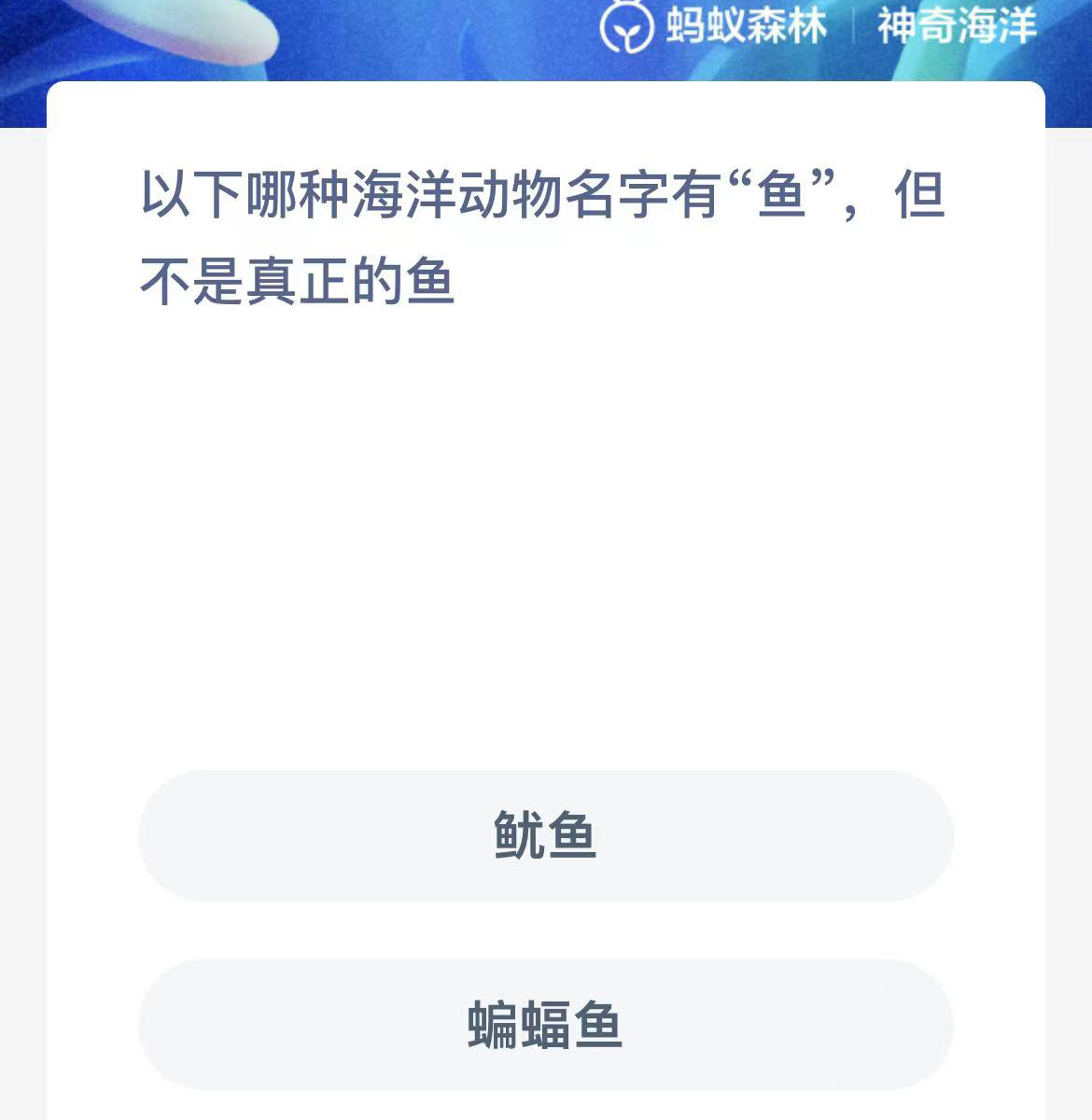 《支付宝》2023年11月4日每日答题答案汇总