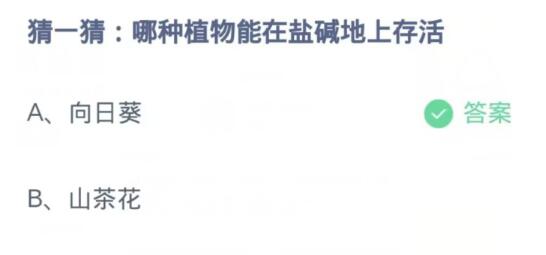 《支付宝》蚂蚁庄园2023年11月5日答案详细介绍